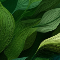 LA MALLETTE DU PARFUMEUR