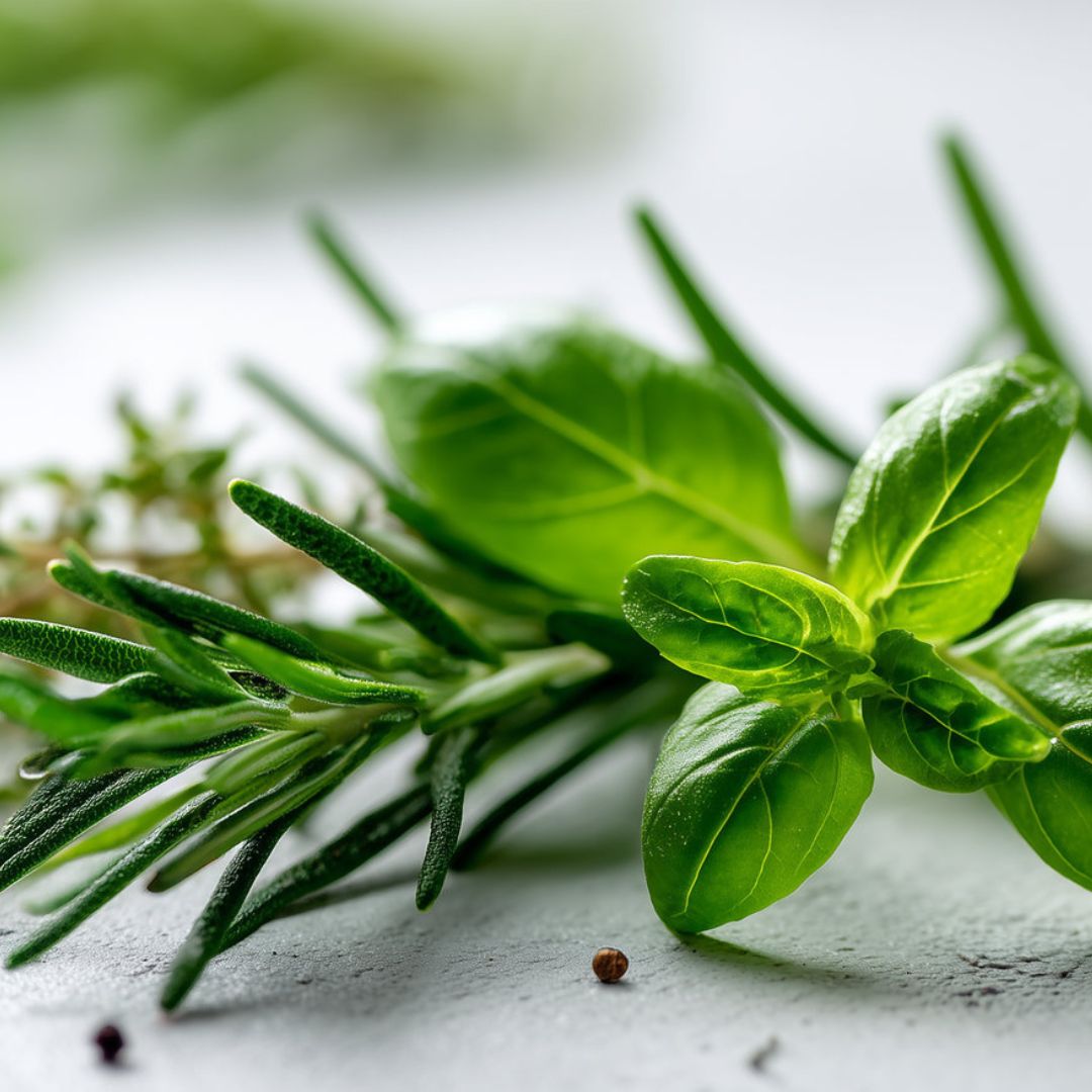 Aromatic Olfactive Category